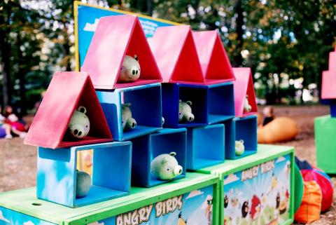 Фото Angry Birds